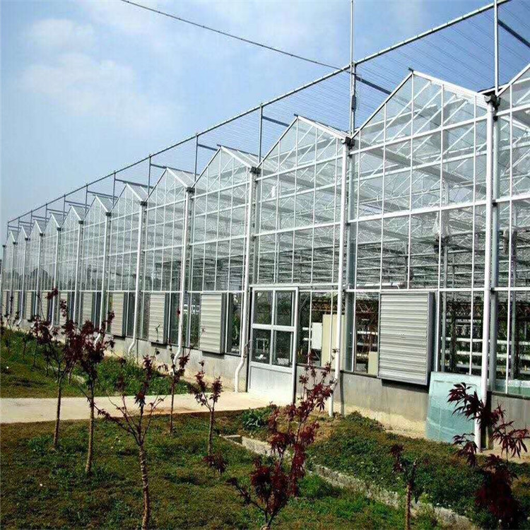连栋智能温室选择指南 山东智能温室建造商鸿川温室承建温室工程