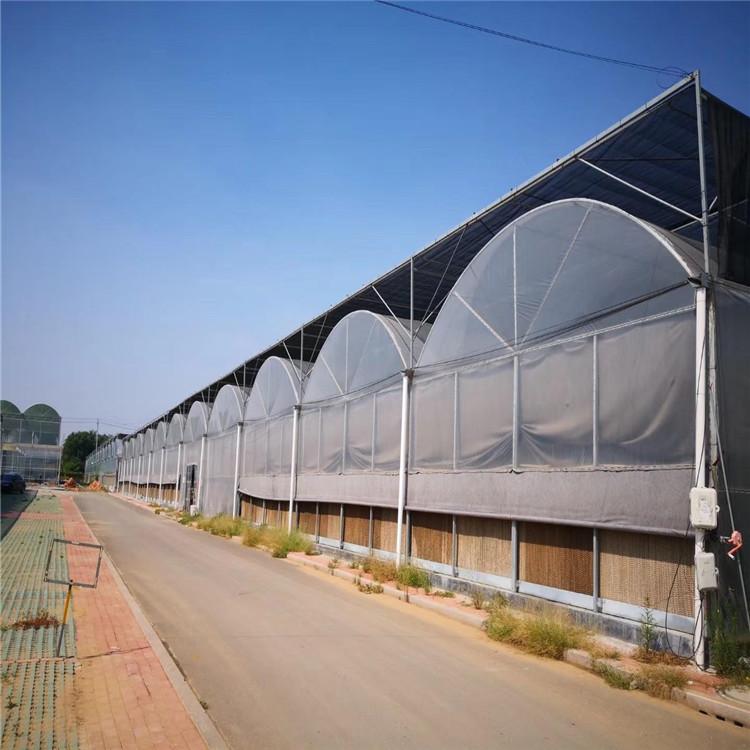山东连栋薄膜温室工程 青州市鸿川温室工程有限公司助力现代农业发展